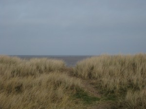 IMG_5382